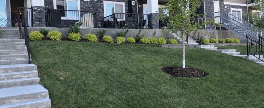5 Costly Mistakes to Avoid When Hiring a Landscaping Company